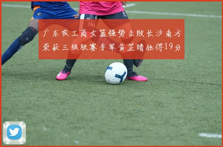 广东农工商女篮强势击败长沙南方荣获三级联赛季军黄芷晴独得19分助力胜利
